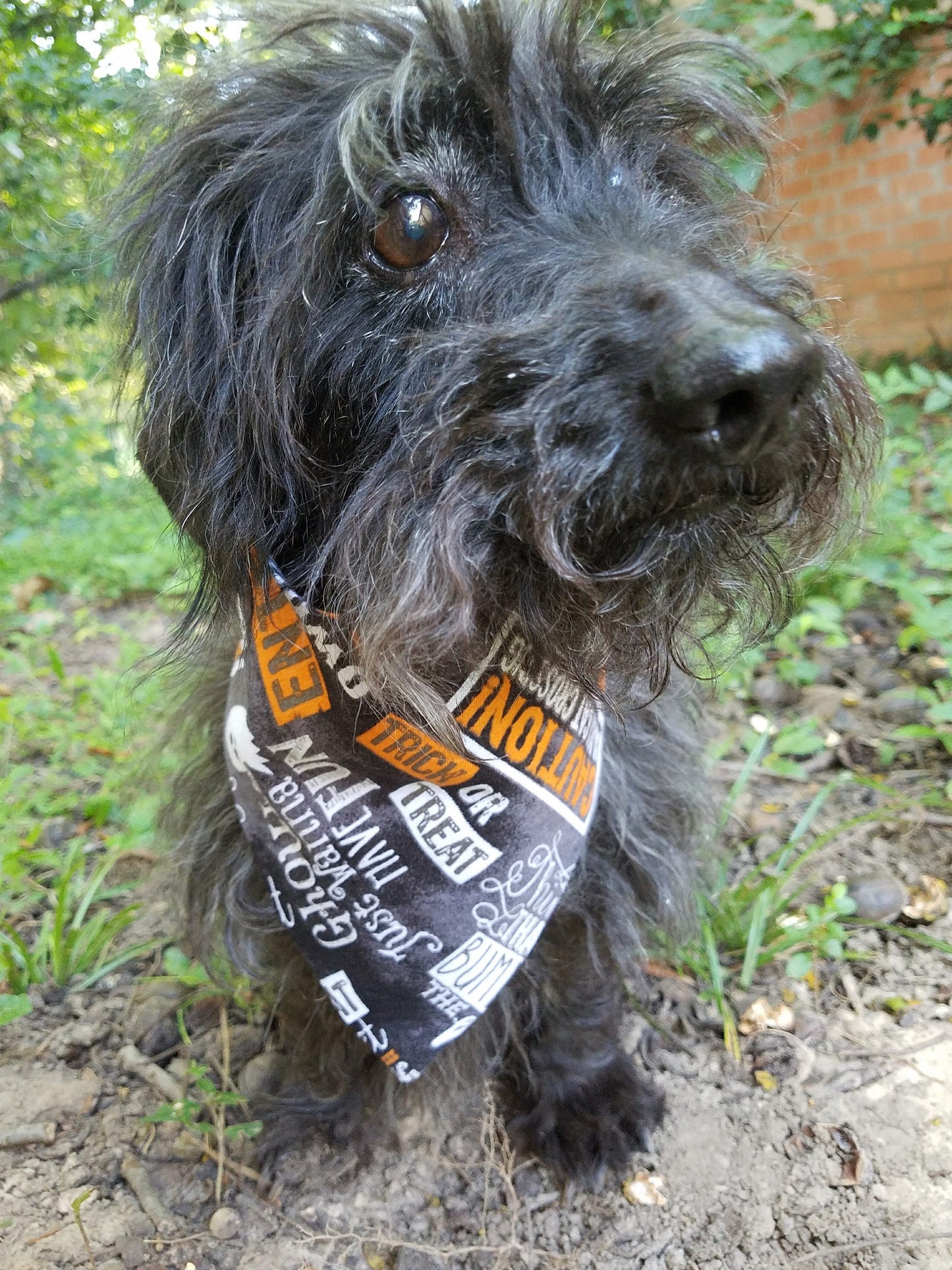 Halloween Ghosts Spooky Clip on Dog Bandana With Buckle Pet Cat Bandanna Handmade to Order