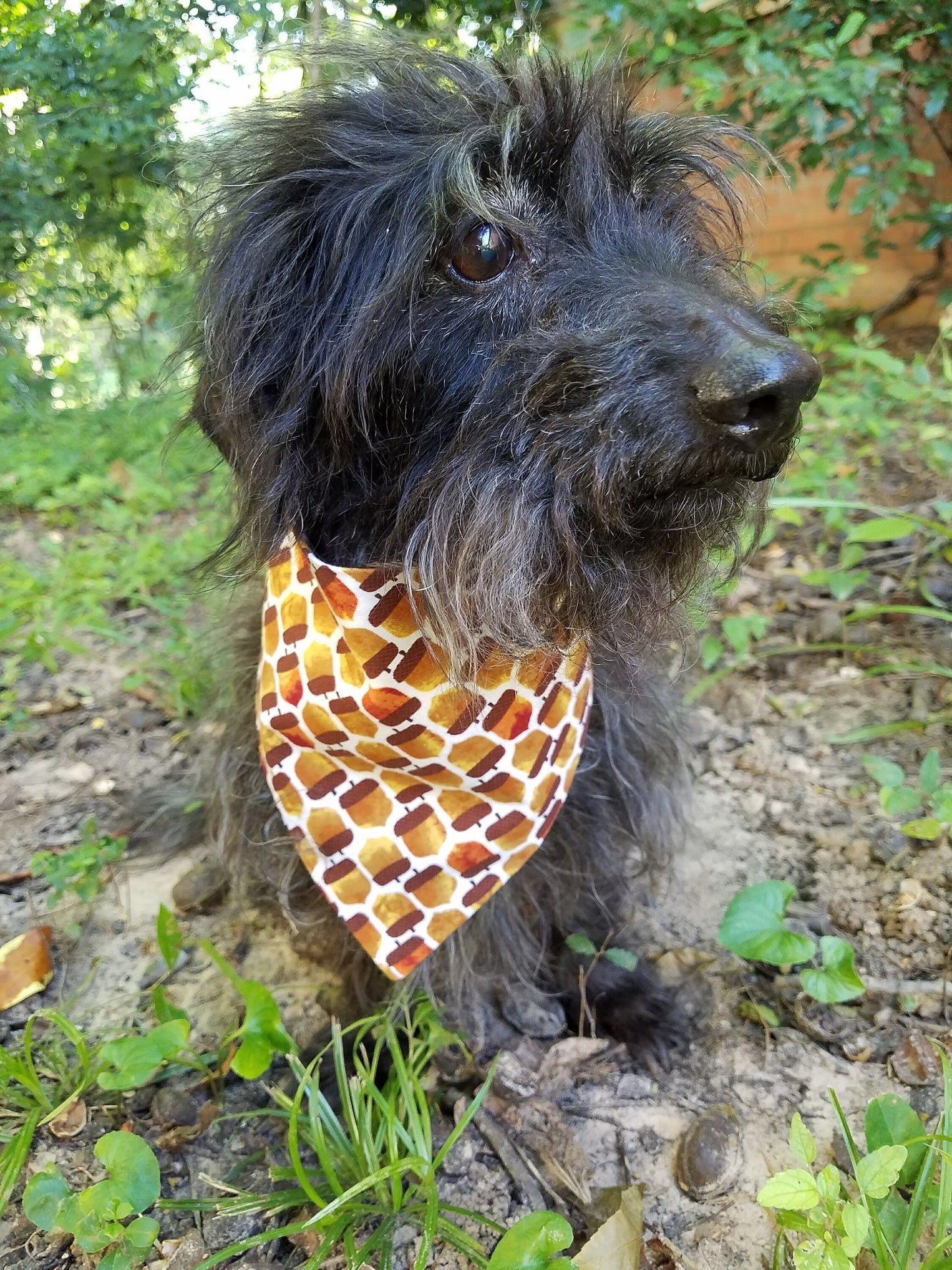 Acorns Fall Autumn Harvest Thanksgiving Clip on Dog Bandana With Buckle Pet Cat Bandanna Handmade to Order