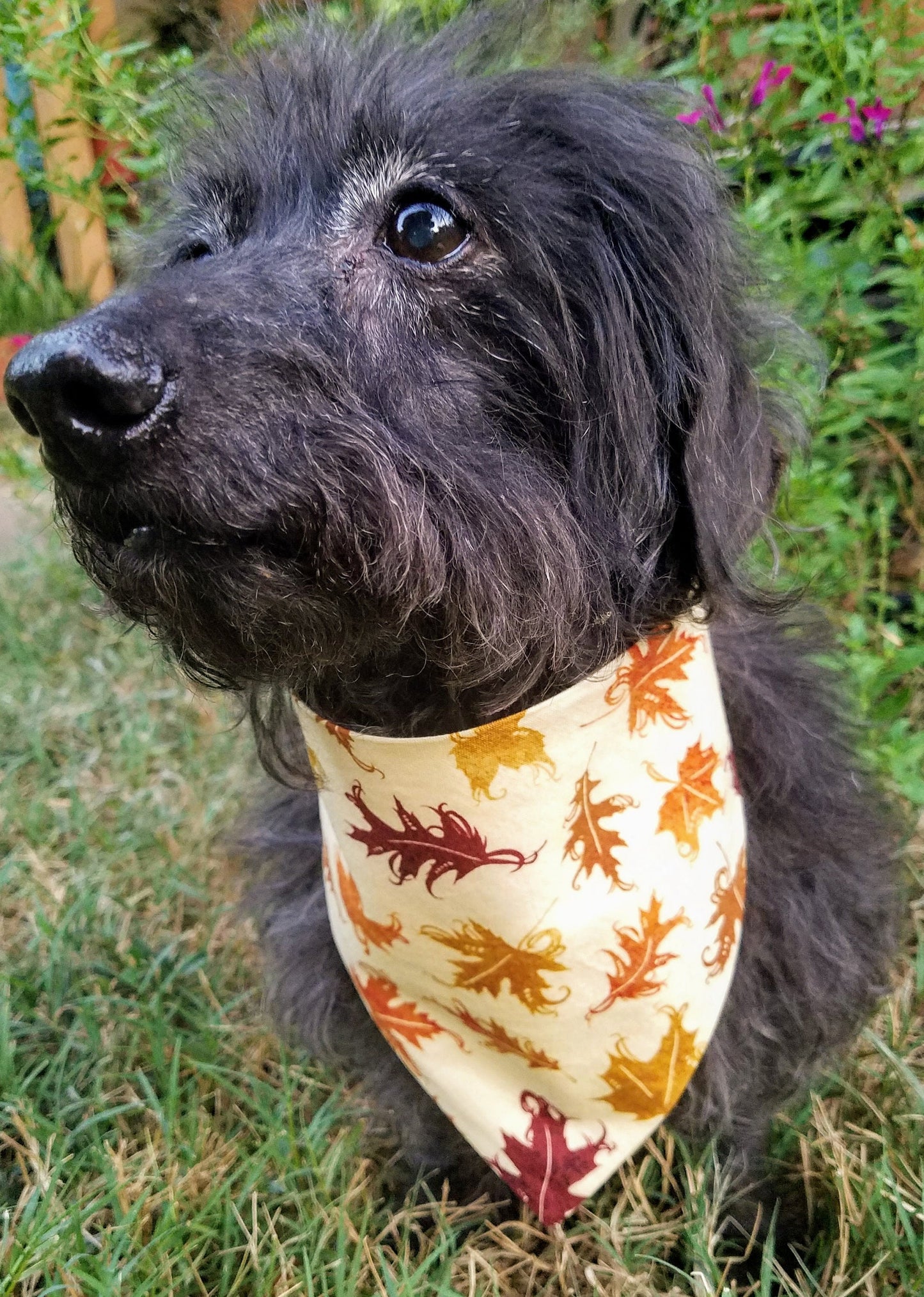 Falling Leaves Autumn Thanksgiving Fall Clip on Dog Bandana With Buckle Pet Cat Bandanna Handmade to Order