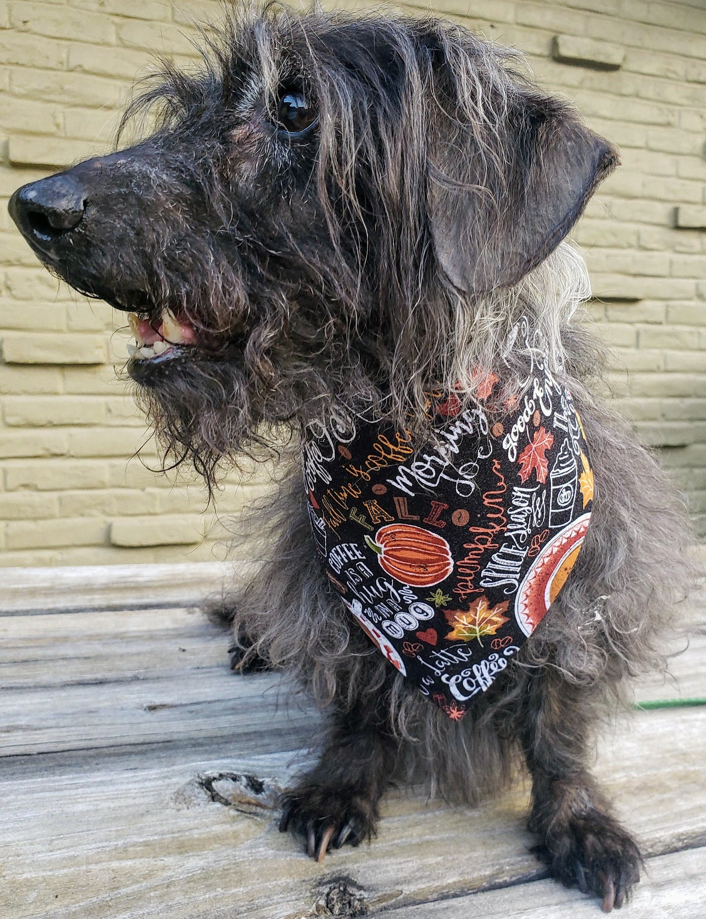Clip on Dog Bandana With Buckle Pet Cat Bandanna Scarf Fall Black Coffee Sweater Weather Autumn Thanksgiving Handmade