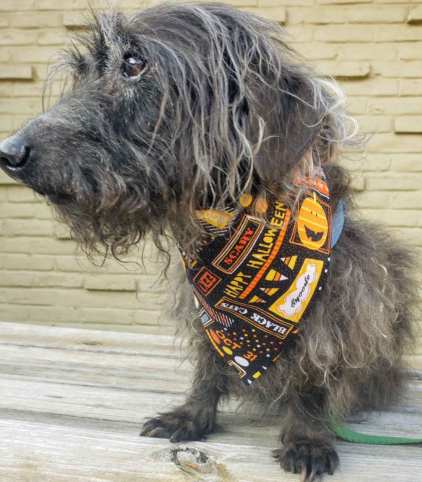 Halloween Themed Clip on Dog Bandana With Buckle Pet Cat Bandanna Handmade to Order