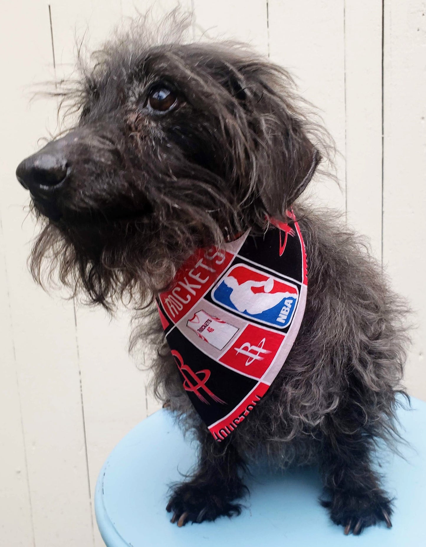 Clip on Dog Bandana With Buckle Pet Cat Bandanna Scarf HOUSTON ROCKETS basketball nba Print Handmade to Order