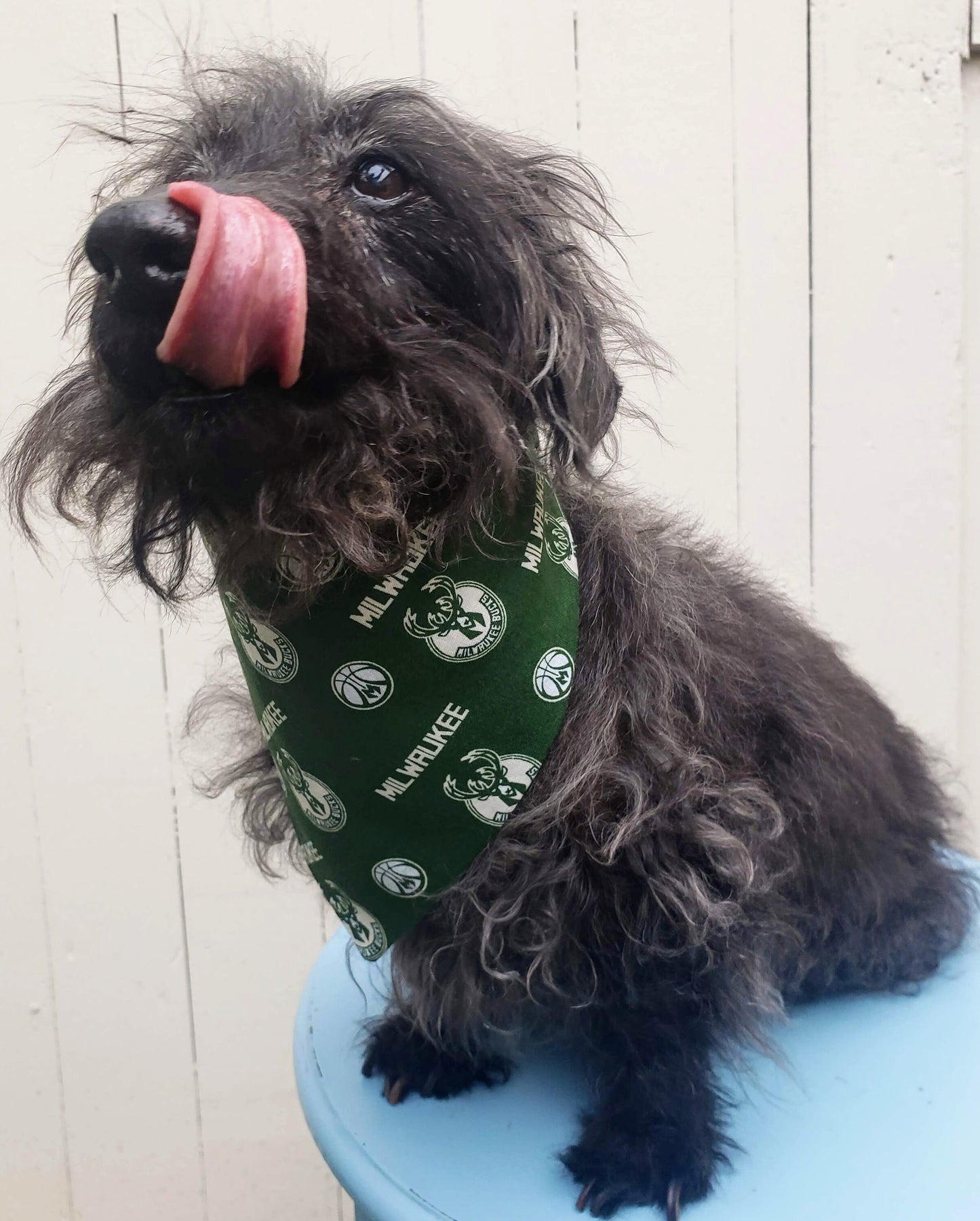 Clip on Dog Bandana With Buckle Pet Cat Bandanna Scarf MILWAUKEE BUCKS basketball nba Print Handmade to Order