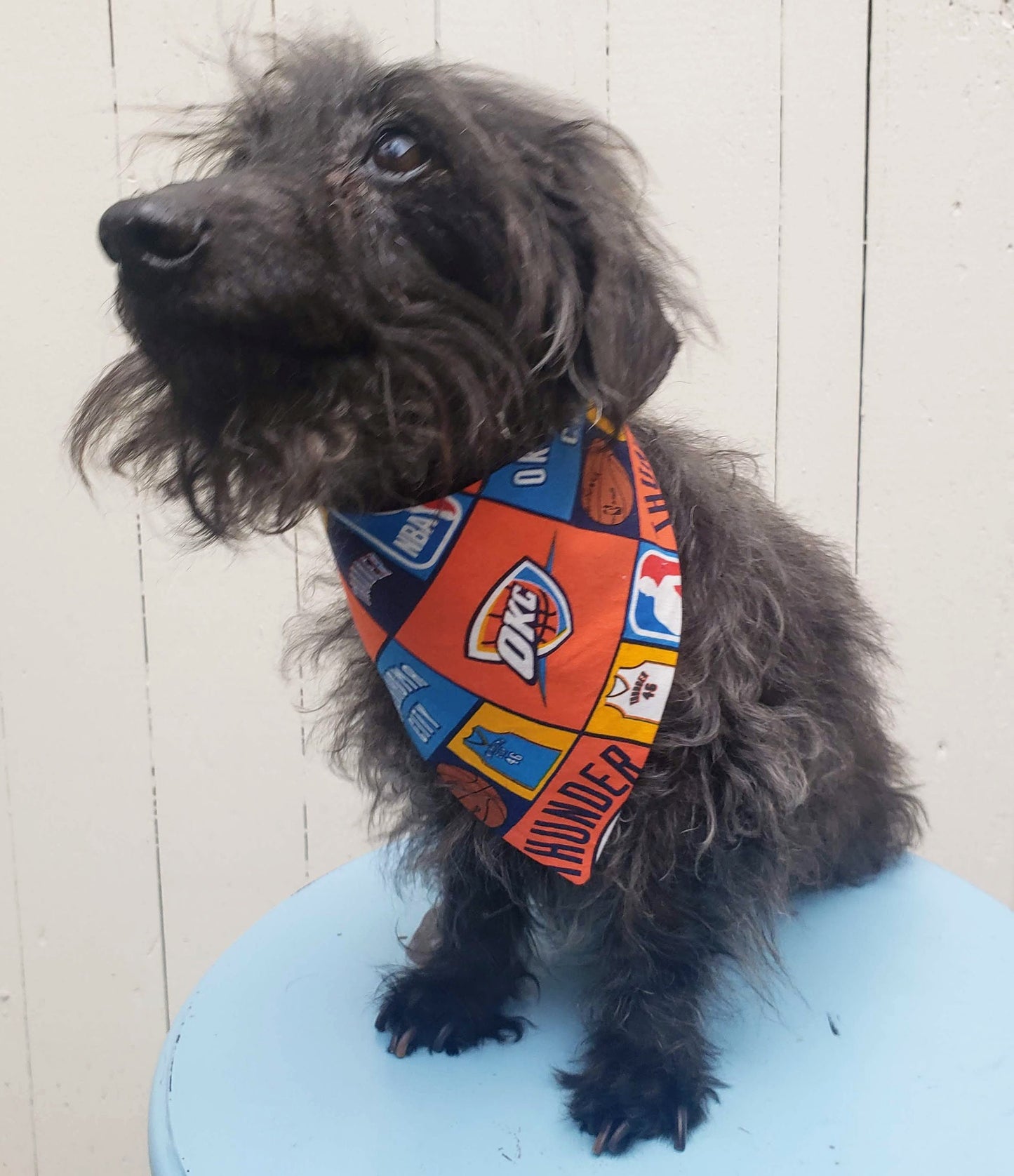 Oklahoma City OK CITY THUNDER basketball nba Print Clip on Dog Bandana With Buckle Pet Cat Bandanna Scarf Handmade to Order