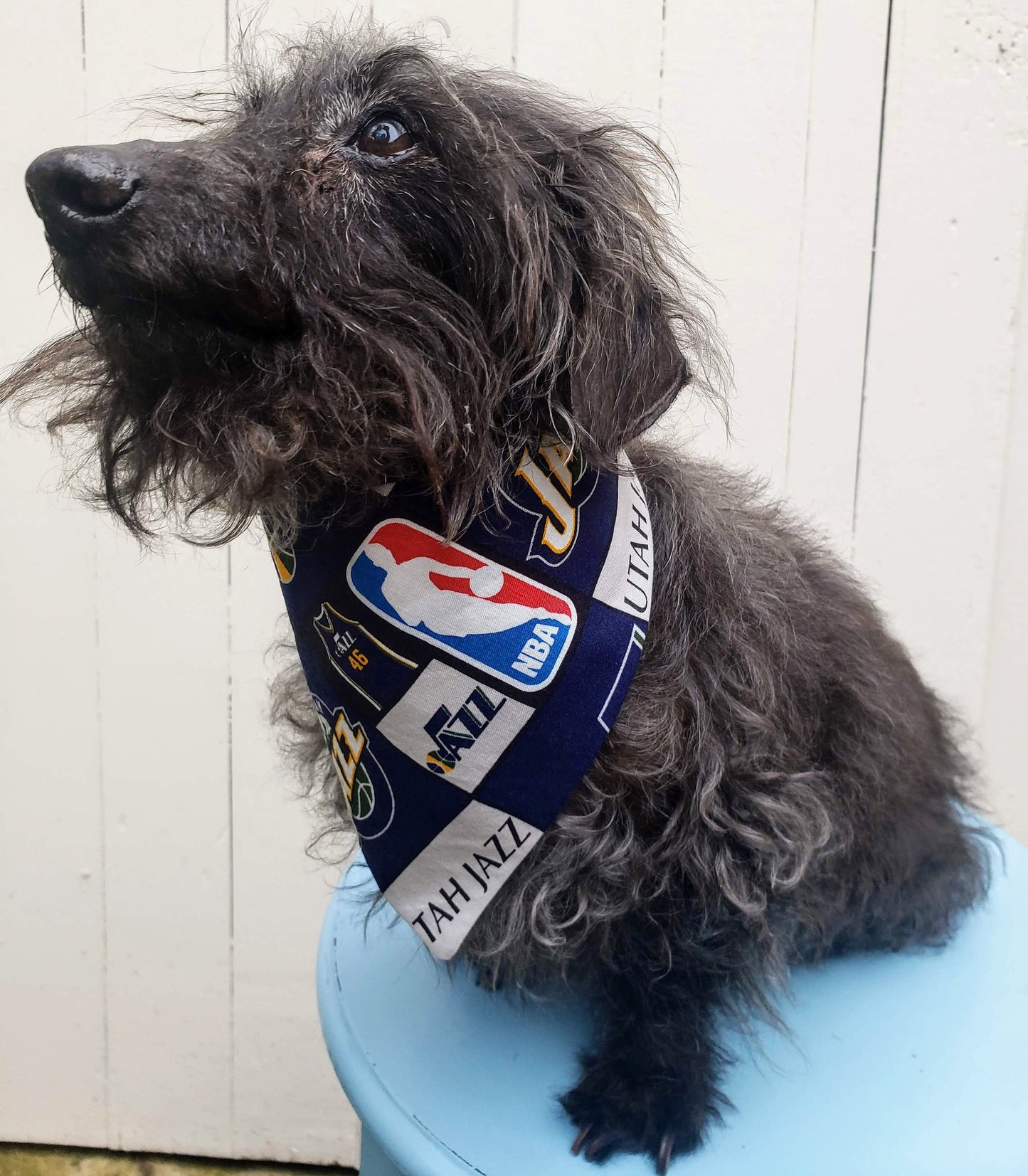 UTAH JAZZ basketball nba Print Clip on Dog Bandana With Buckle Pet Cat Bandanna Scarf Handmade to Order