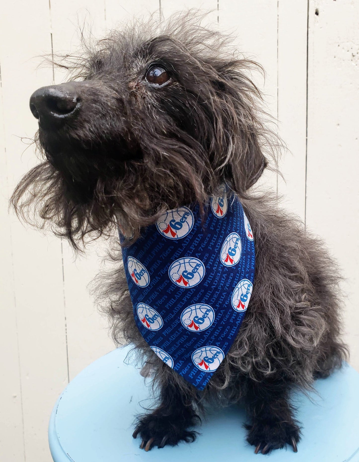 Clip on Dog Bandana With Buckle Pet Cat Bandanna Scarf PHILADELPHIA 76ERS basketball nba Print Handmade to Order