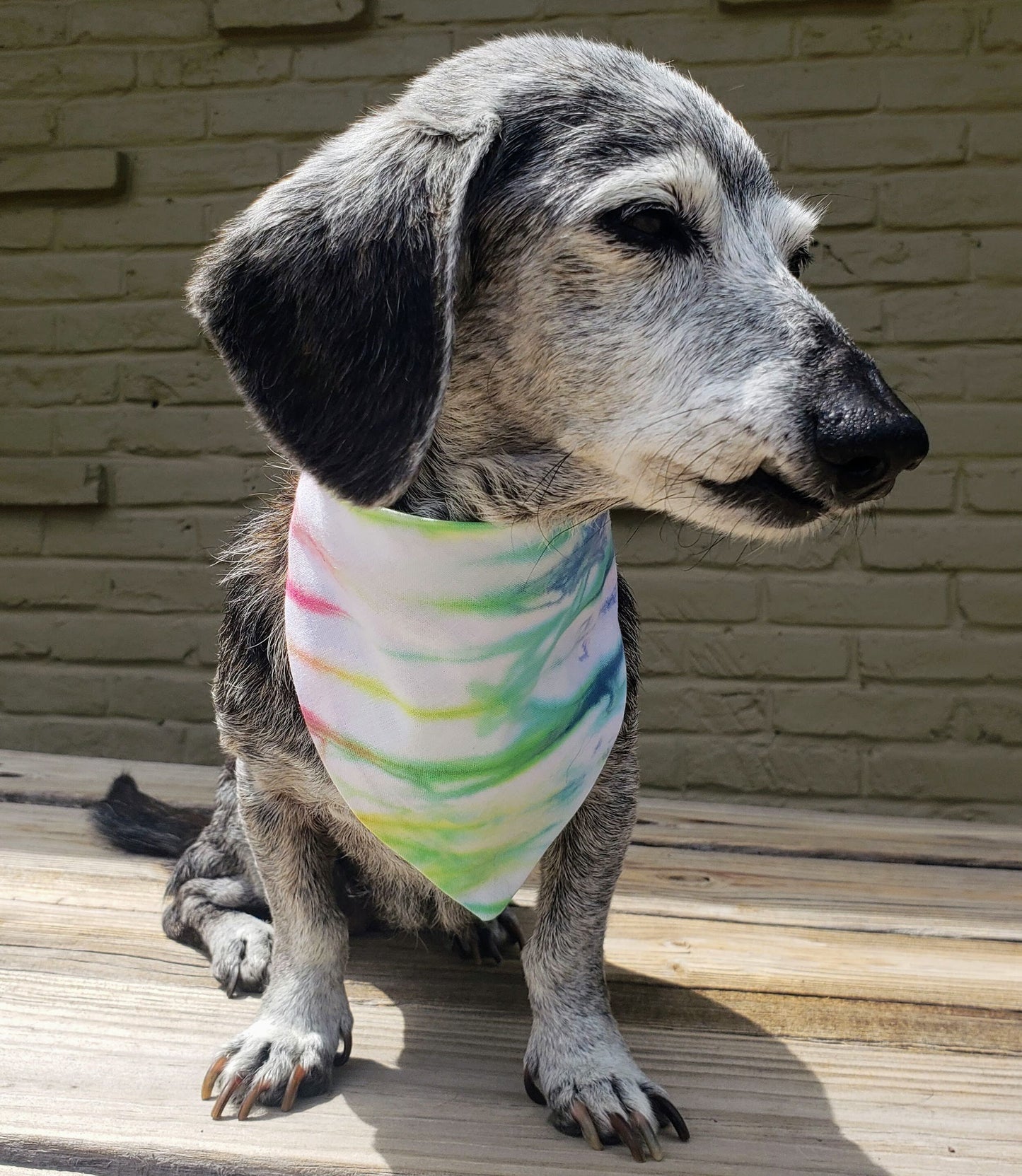 Clip on Dog Bandana With Buckle Pet Cat Bandanna Scarf Tie Dye Hand Dyed Rainbow Prism Colorful Summer Print Handmade READY TO SHIP