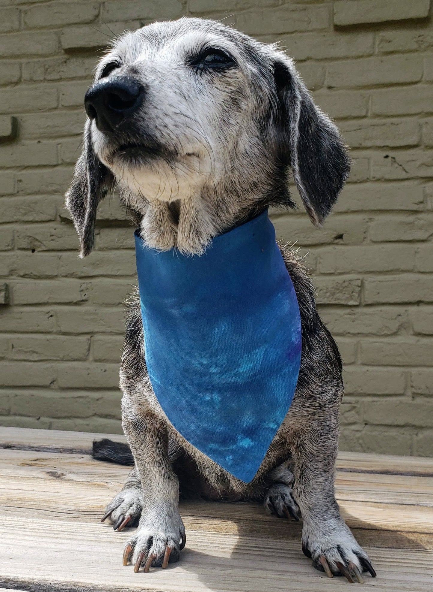 Clip on Dog Bandana With Buckle Pet Cat Bandanna Scarf Tie Dye Hand Dyed Green Blue Purple Colorful Ocean Print Handmade READY TO SHIP