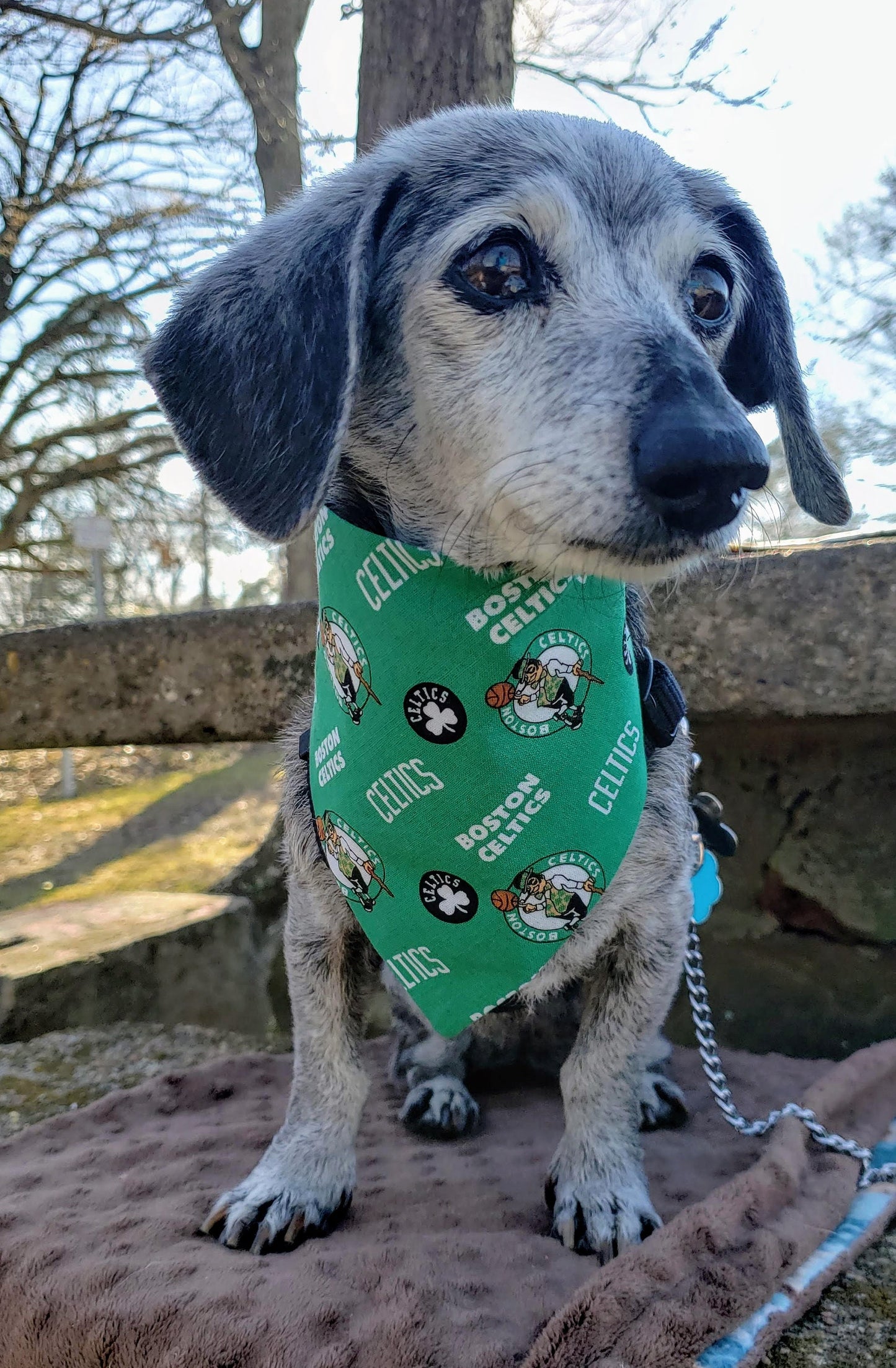 Clip on Dog Bandana With Buckle Pet Cat Bandanna Scarf BOSTON CELTICS basketball nba Print Handmade to Order