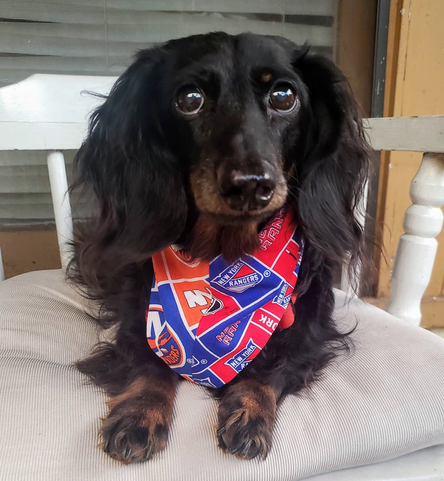 Clip on Dog Bandana With Buckle Pet Cat Bandanna Scarf HOUSE DIVIDED Choose TWO National Hockey League Teams Handmade to Order