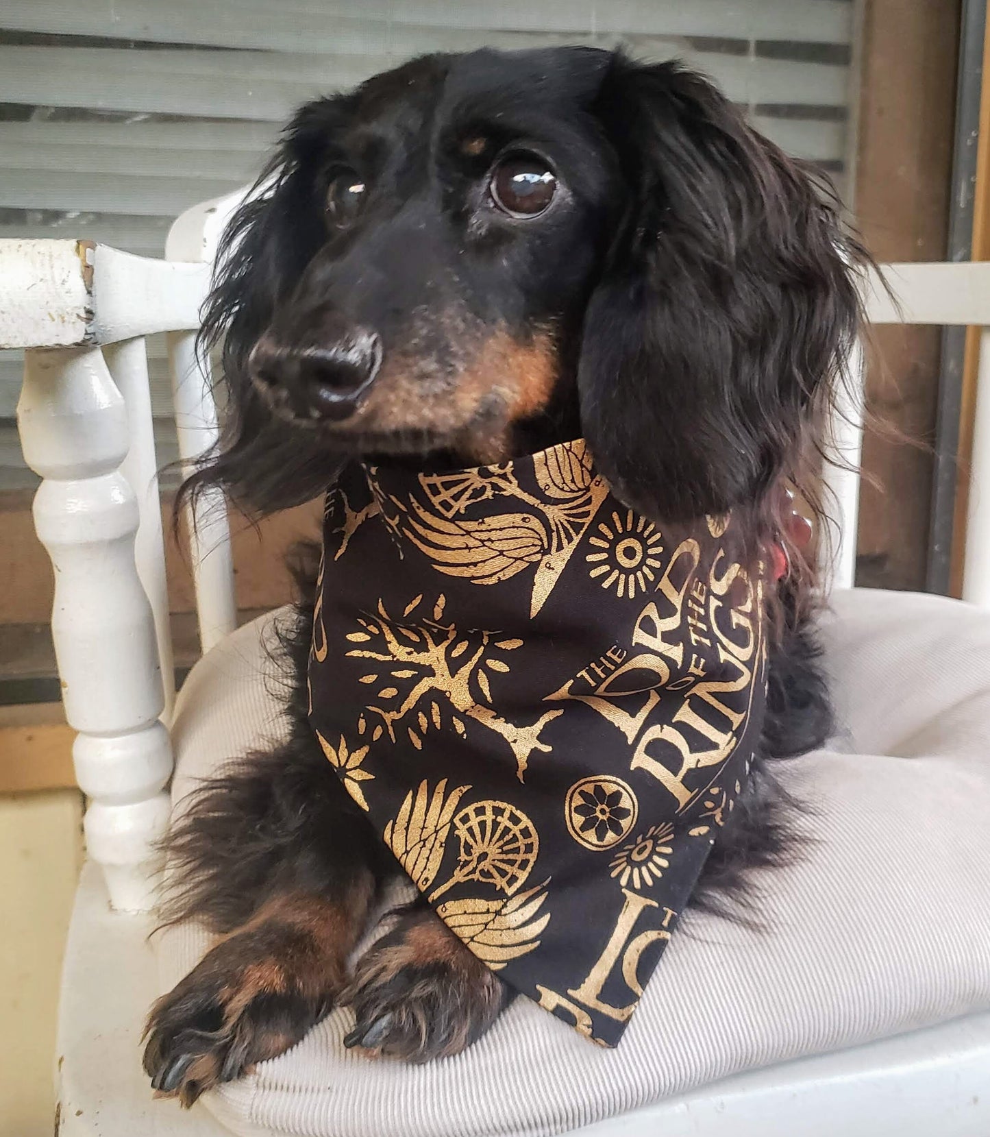 Clip on Dog Bandana With Buckle Pet Cat Bandanna Scarf Lord of the Rings Black & Gold Foil JRR Tolkien Print Handmade to Order