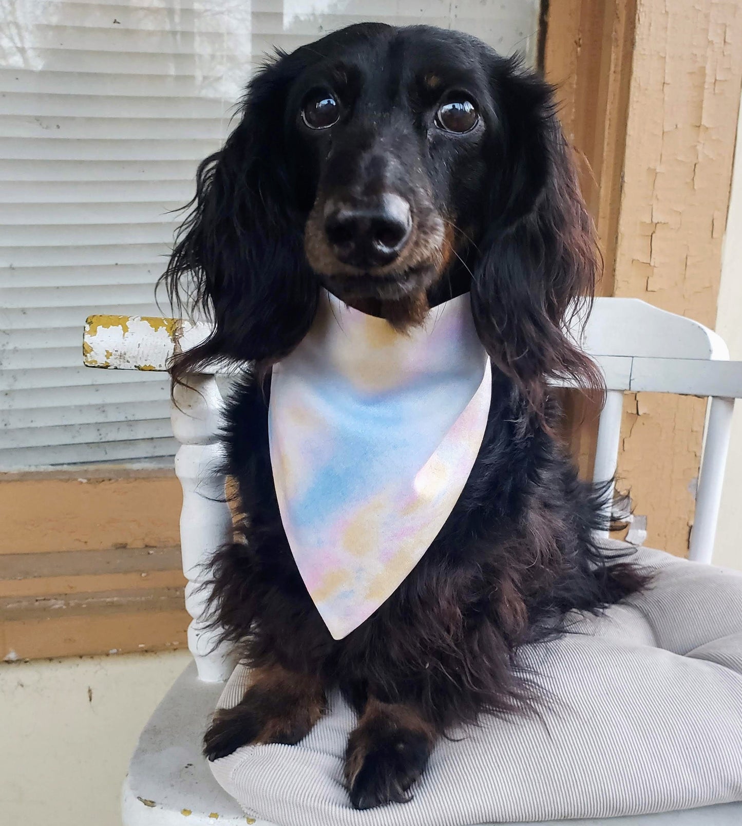 Clip on Dog Bandana With Buckle Pet Cat Bandanna Scarf Easter Spring Pastels Tie Dye Handmade to Order