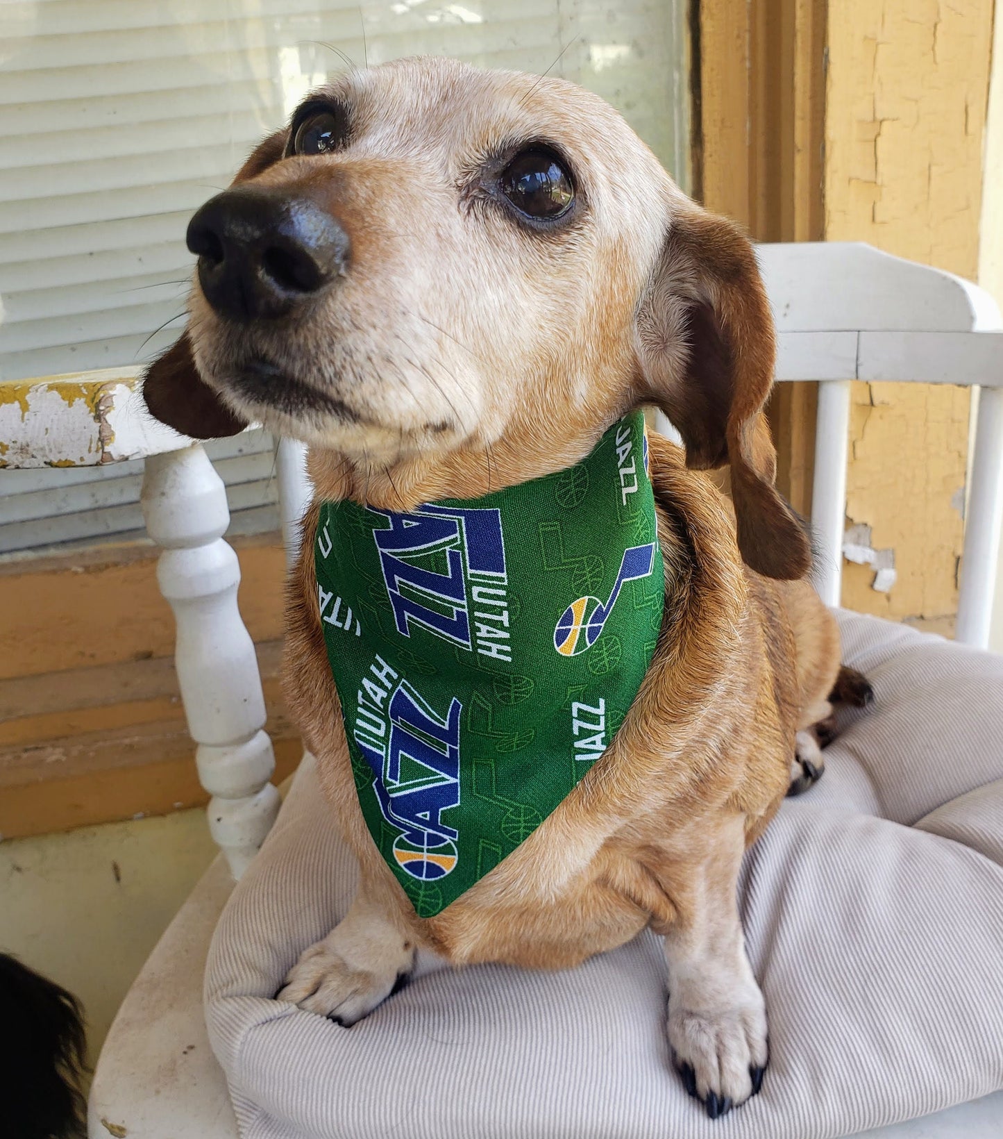 UTAH JAZZ Basketball nba Clip on Dog Bandana With Buckle Pet Cat Bandanna Scarf Handmade to Order