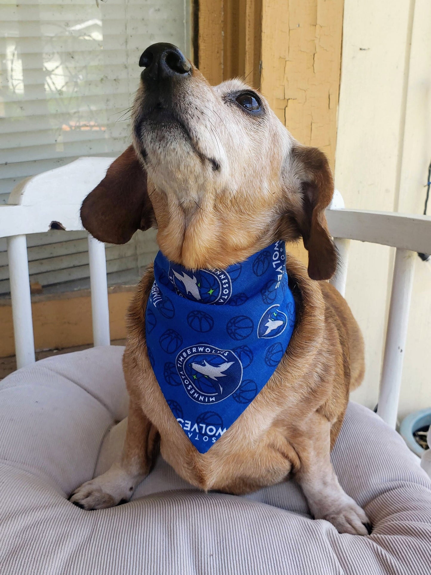 MINNESOTA TIMBERWOLVES Basketball nba Clip on Dog Bandana With Buckle Pet Cat Bandanna Scarf Handmade to Order