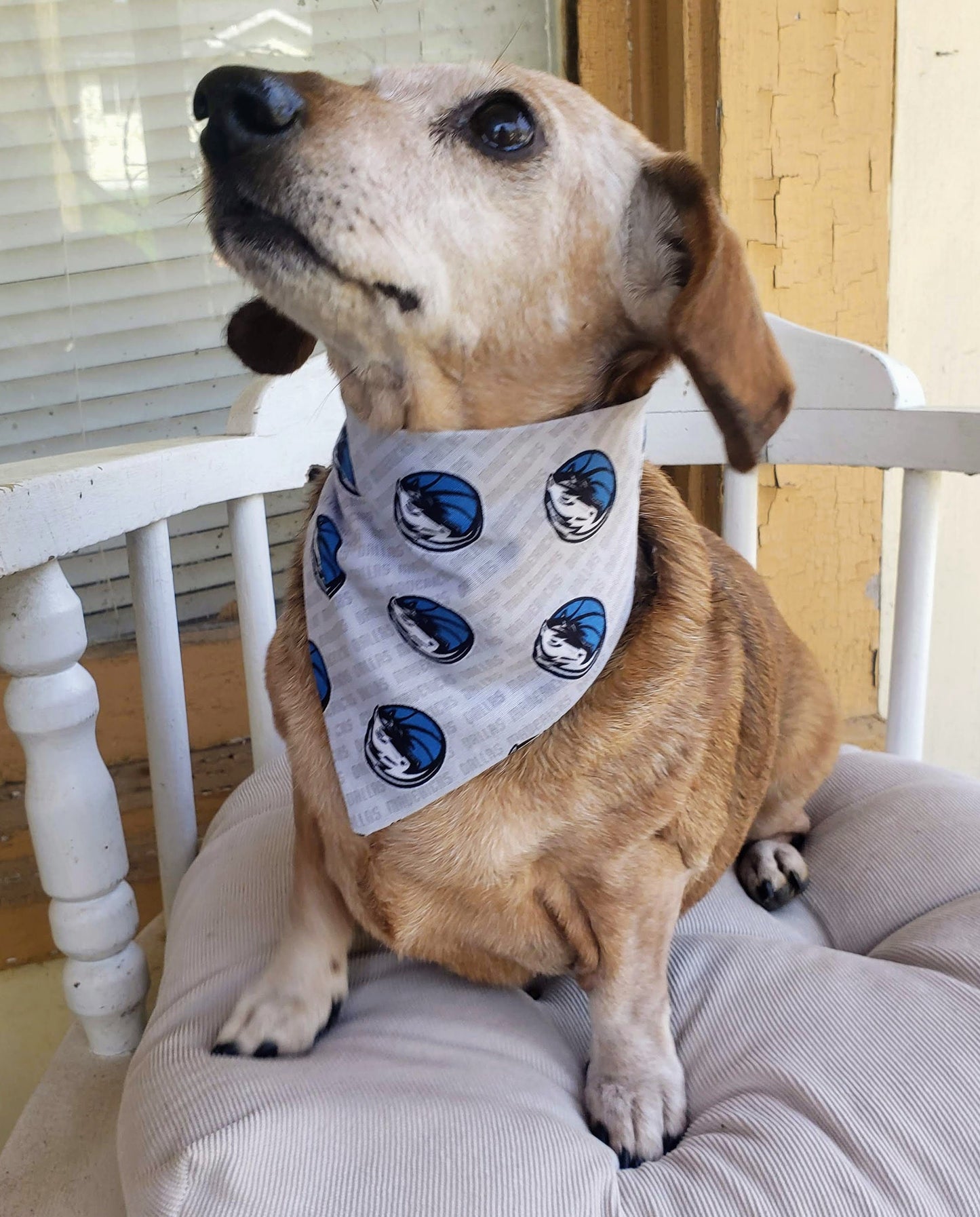 Clip on Dog Bandana With Buckle Pet Cat Bandanna Scarf DALLAS MAVERICKS Basketball nba Handmade to Order