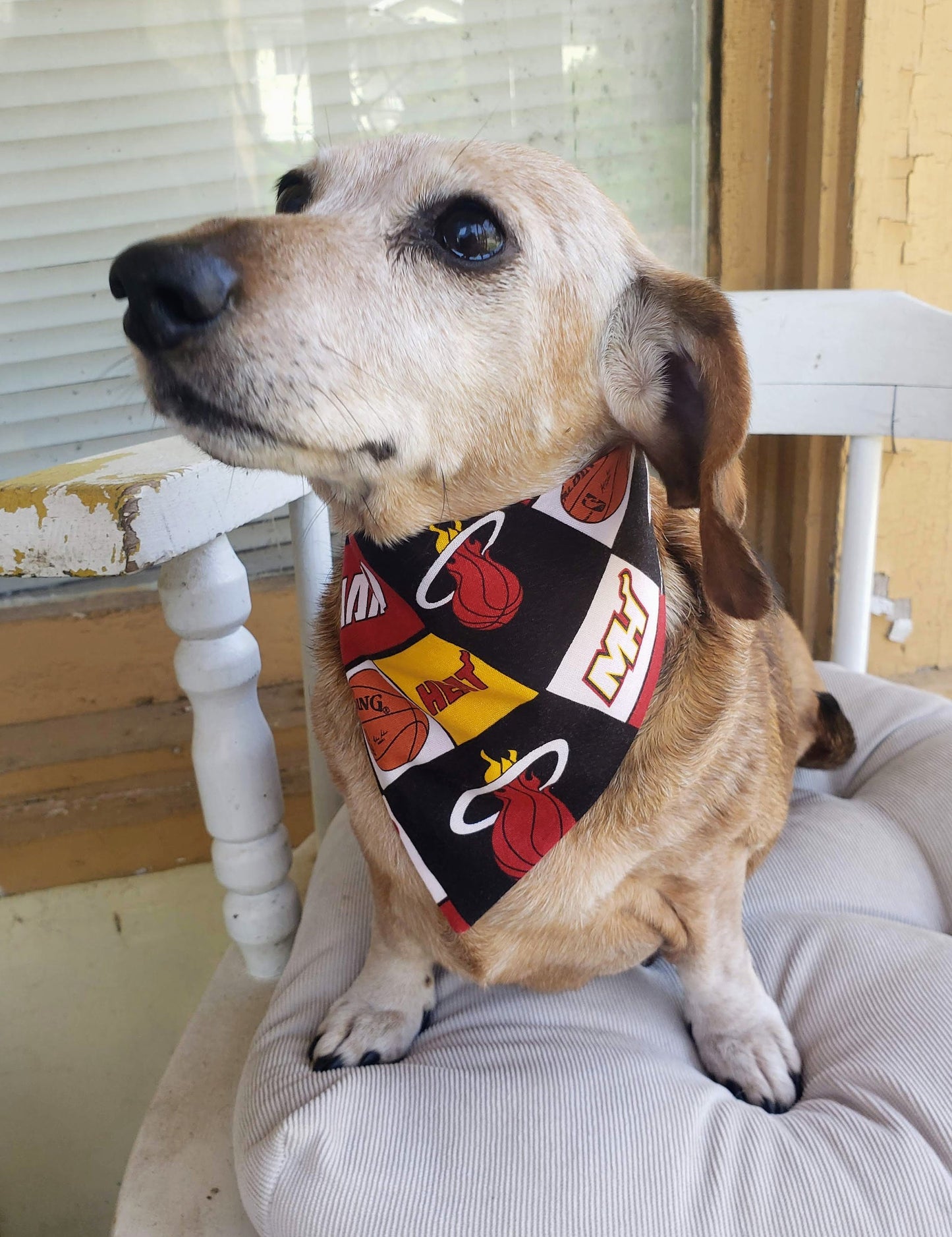 MIAMI HEAT Basketball nba Clip on Dog Bandana With Buckle Pet Cat Bandanna Scarf Handmade to Order