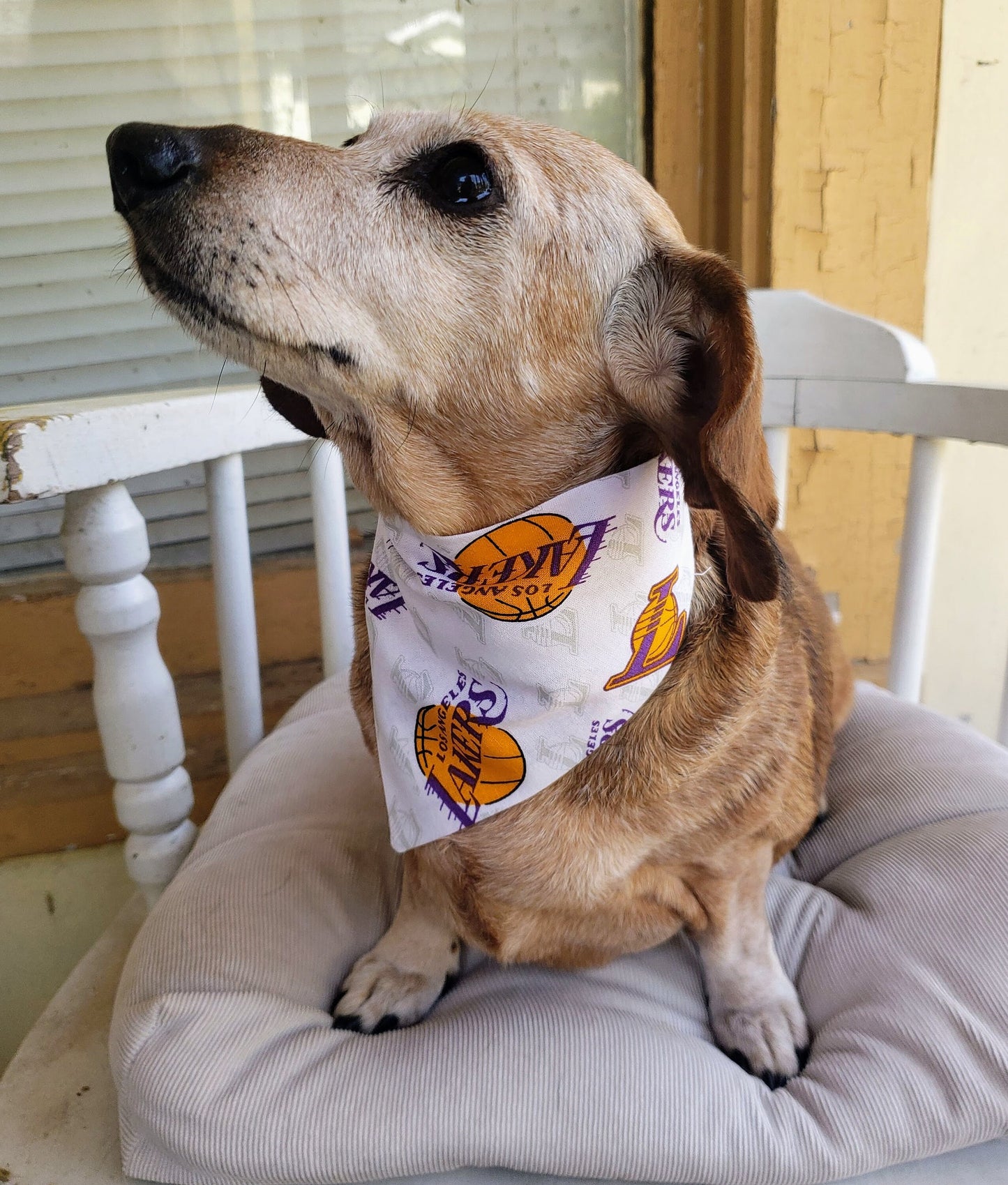 Clip on Dog Bandana With Buckle Pet Cat Bandanna Scarf LOS ANGELES LAKERS Basketball nba Handmade to Order