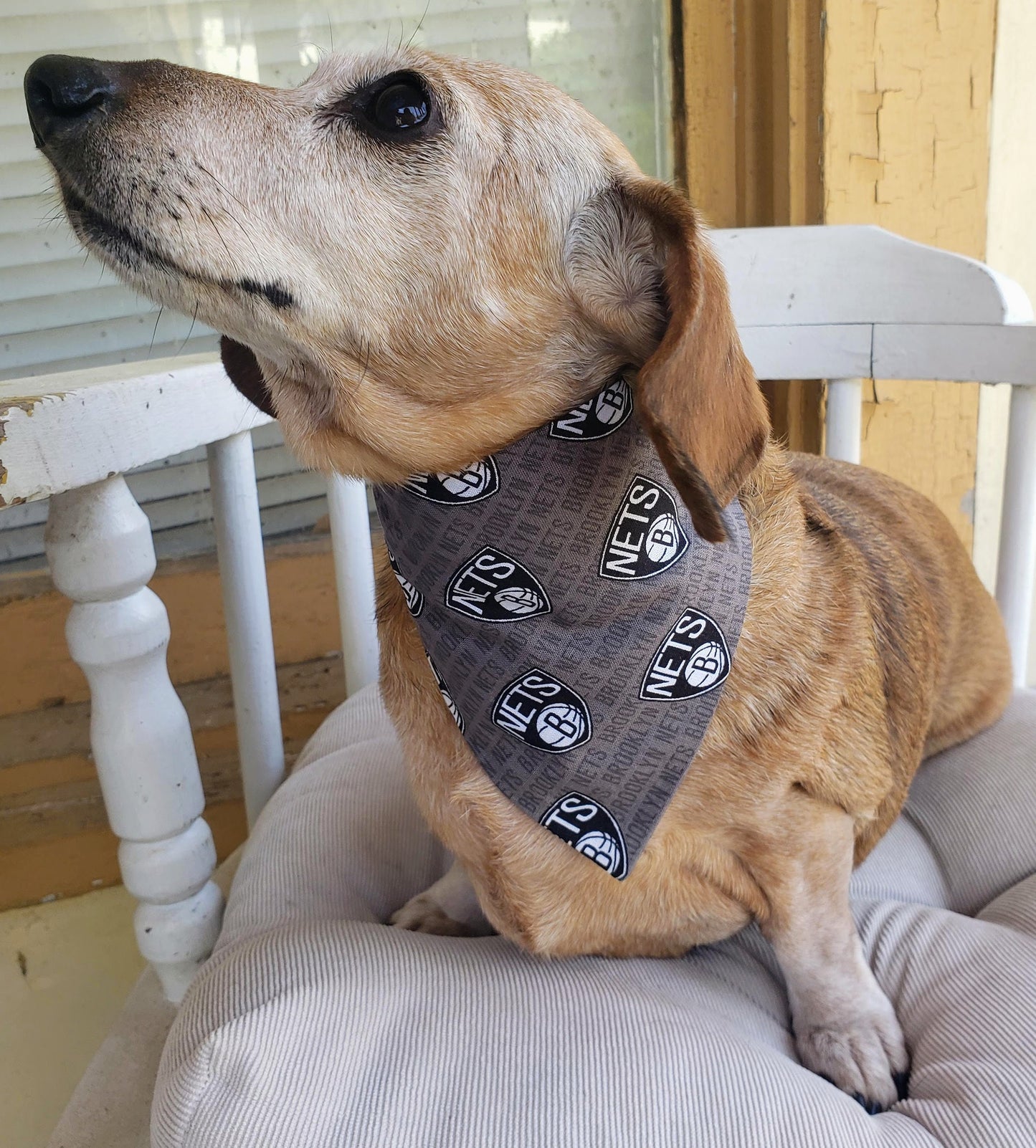 BROOKLYN NETS Basketball nba Clip on Dog Bandana With Buckle Pet Cat Bandanna Scarf Handmade to Order