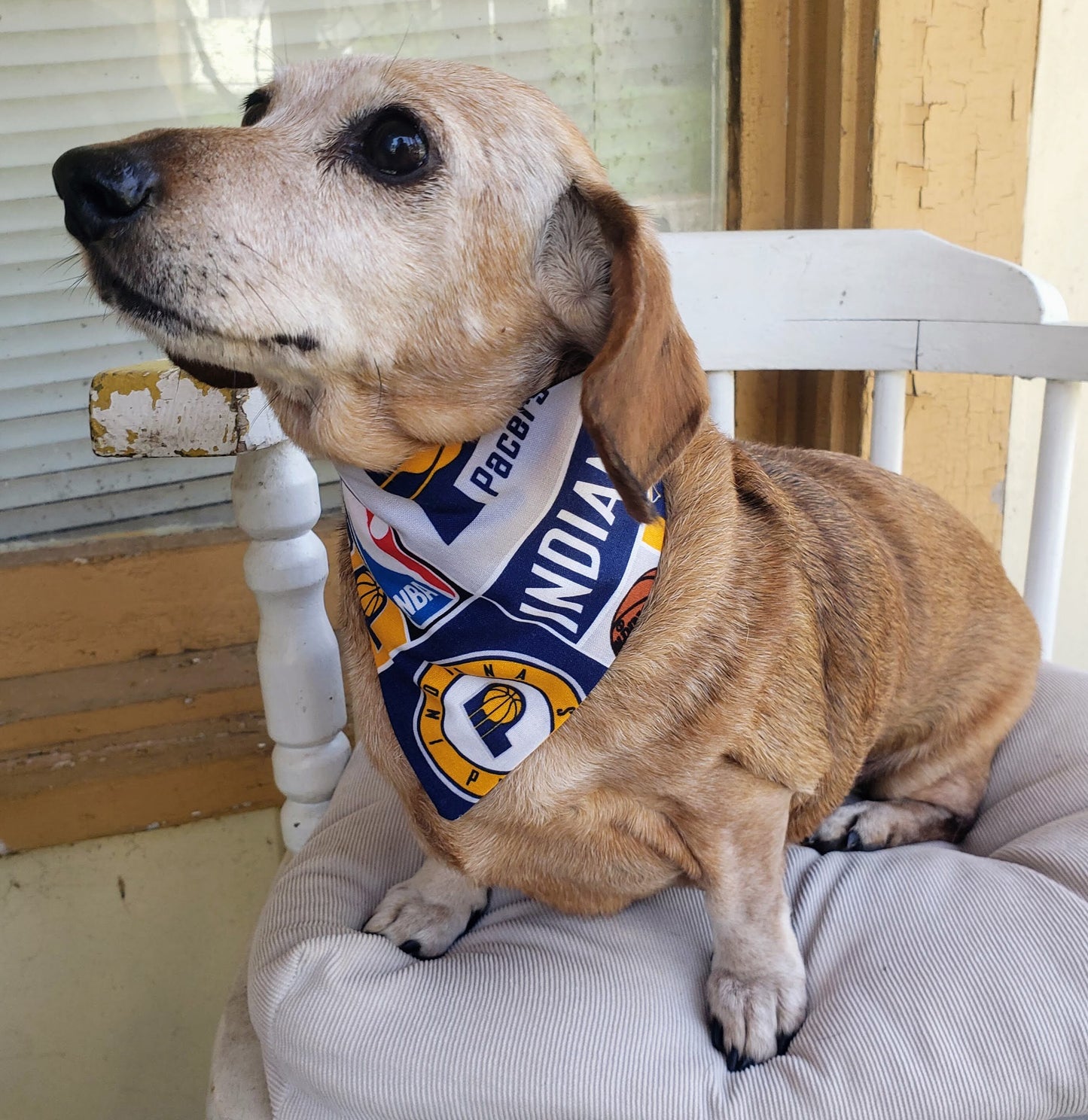 Clip on Dog Bandana With Buckle Pet Cat Bandanna Scarf INDIANA PACERS Basketball nba Handmade to Order