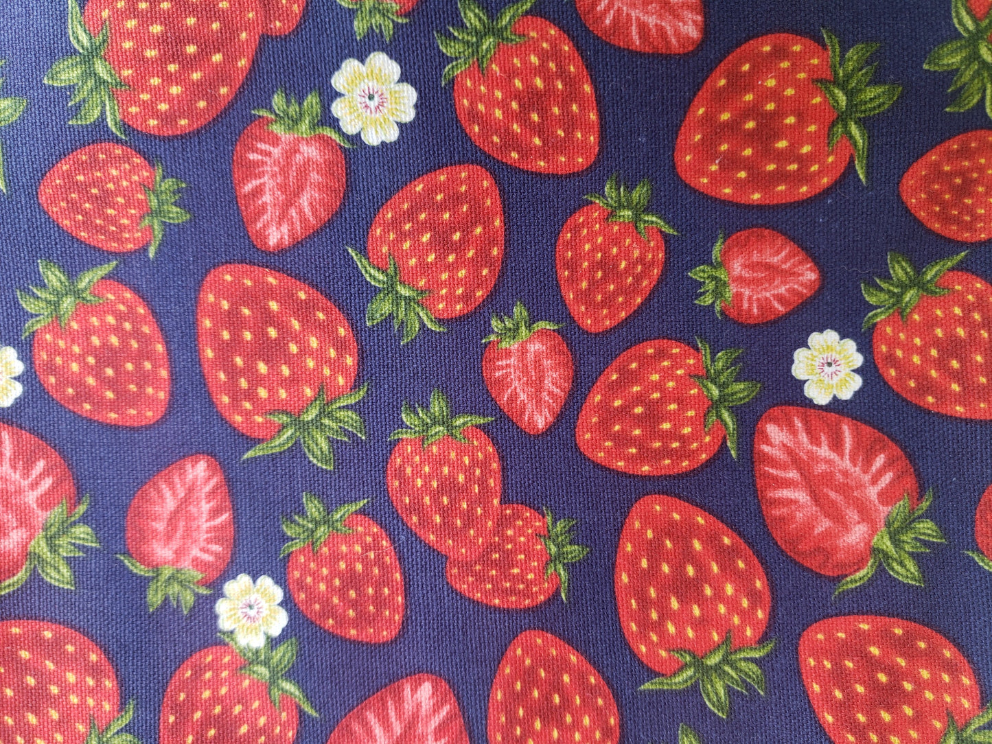 Clip on Dog Bandana With Buckle Pet Cat Bandanna Spring Strawberries on Blue Handmade to Order