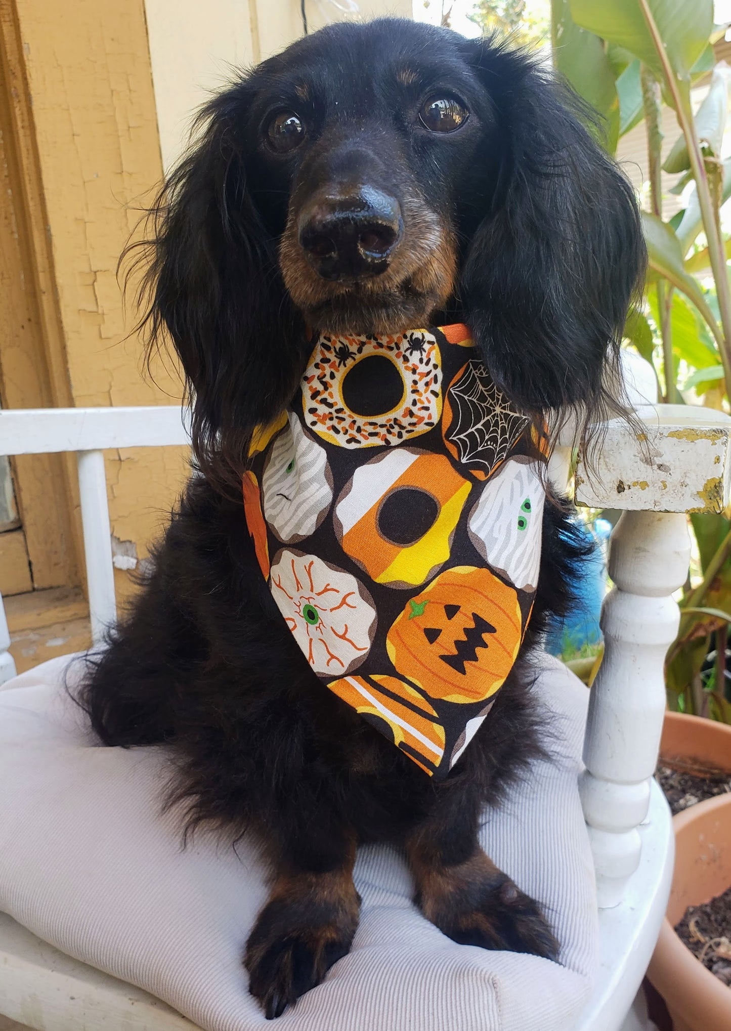 Spooky Cookies Halloween Fall Thanksgiving Autumn Clip on Dog Bandana With Buckle Pet Cat Bandanna Handmade to Order