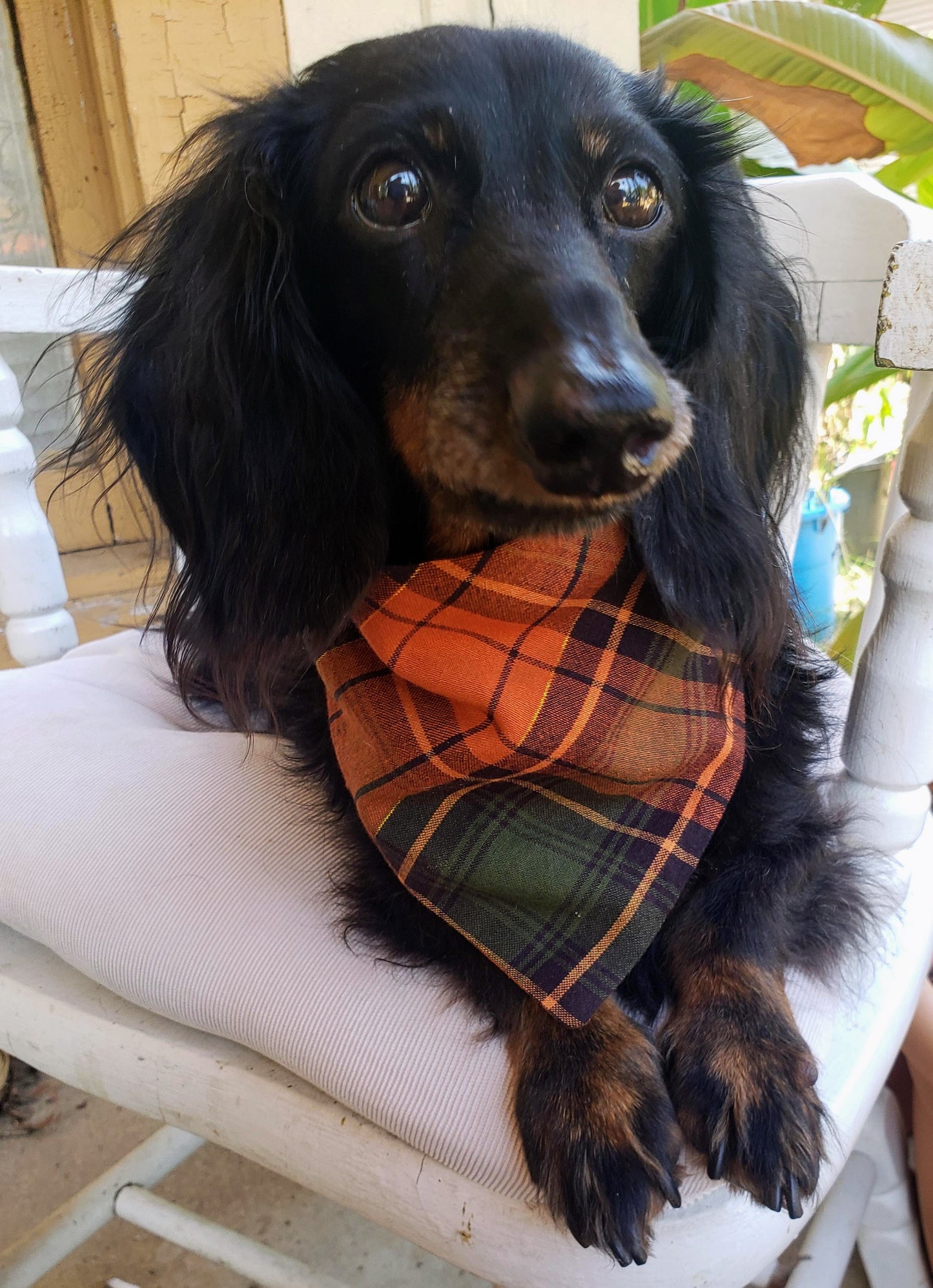 Fall Plaid Orange Green Gold Autumn Harvest Clip on Dog Bandana With Buckle Pet Cat Bandanna Handmade to Order