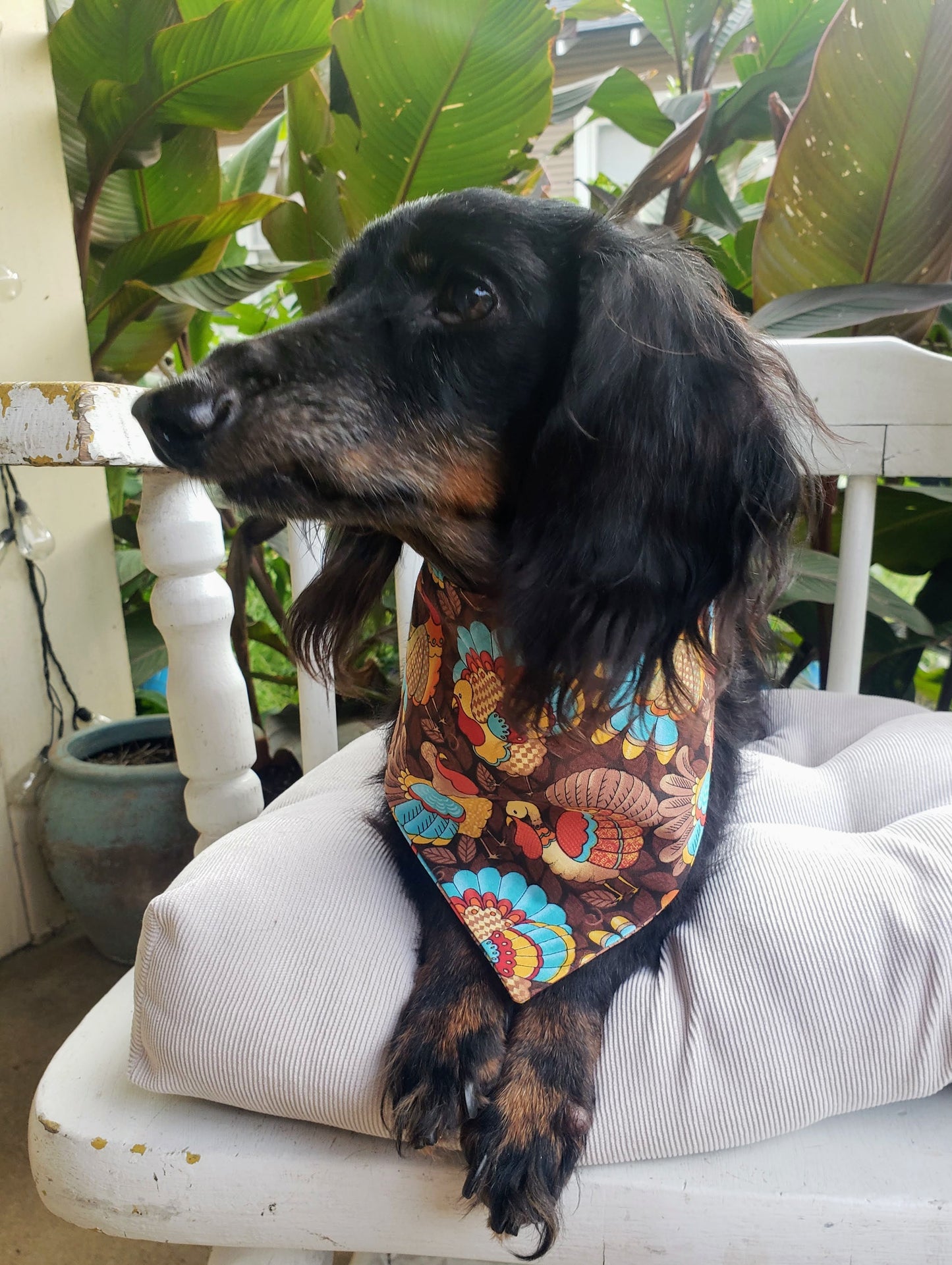 Thanksgiving Turkeys Fall Autumn Harvest Clip on Dog Bandana With Buckle Pet Cat Bandanna Handmade to Order