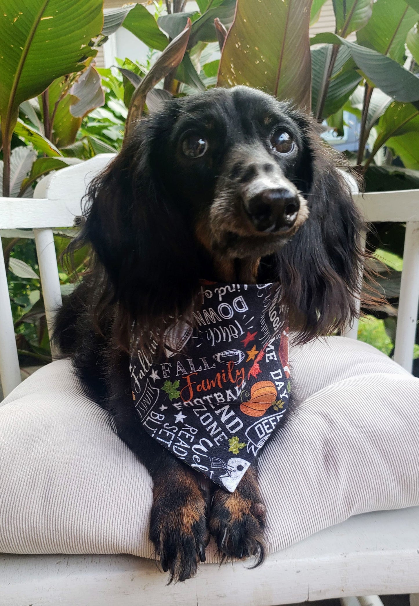 Football Season Touchdown Themes Fall Autumn Clip on Dog Bandana With Buckle Pet Cat Bandanna Handmade to Order