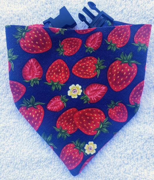 Clip on Dog Bandana With Buckle Pet Cat Bandanna Spring Strawberries on Blue Handmade to Order