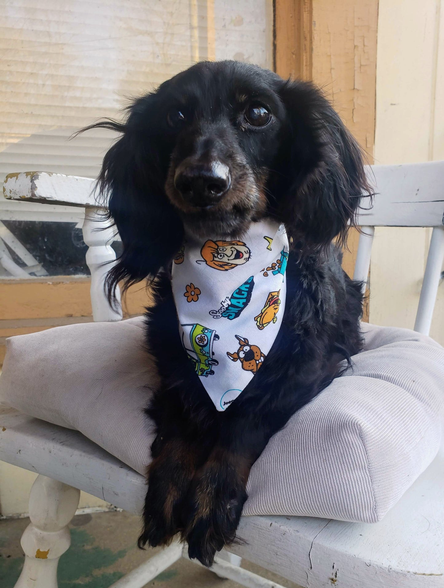 Clip on Dog Bandana With Buckle Pet Cat Bandanna Scooby Doo Snacks Shaggy Mystery Mobile Handmade to Order