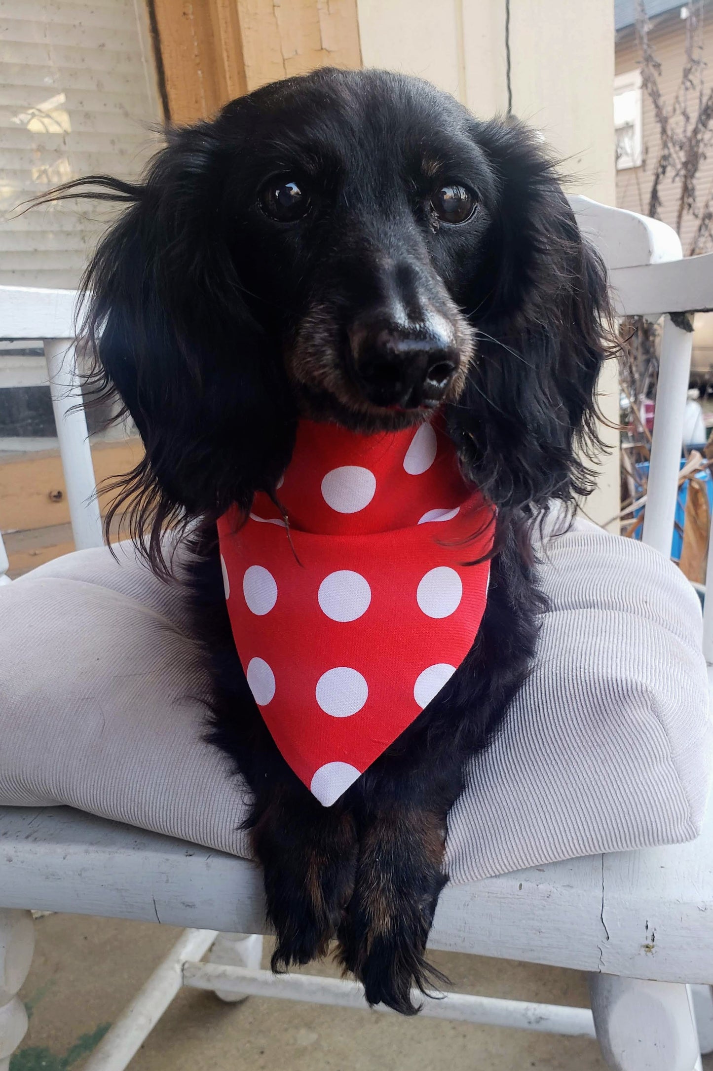Clip on Dog Bandana With Buckle Pet Cat Bandanna Red & White Polka Dots Handmade to Order