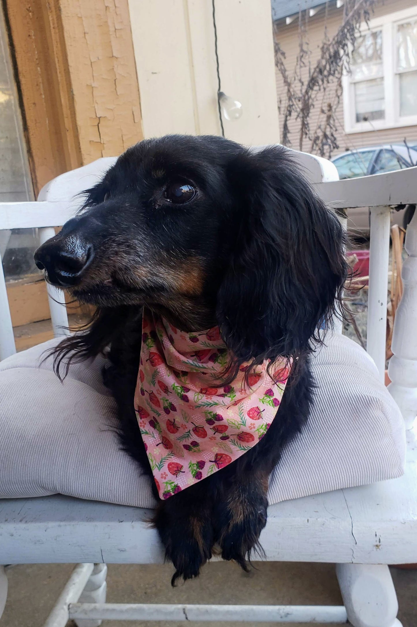 Clip on Dog Bandana With Buckle Pet Cat Bandanna Pink Strawberries Raspberries Spring Floral Handmade to Order