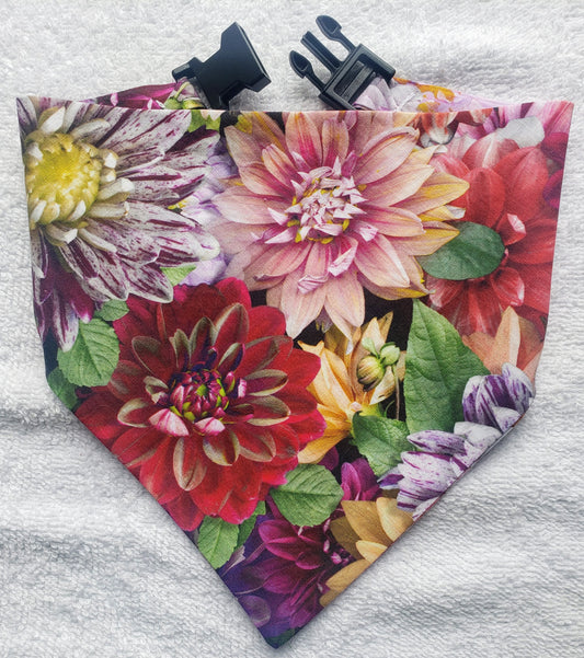 Clip on Dog Bandana With Buckle Pet Cat Bandanna Dahlias Flowers Floral Colorful Spring Summer Handmade to Order