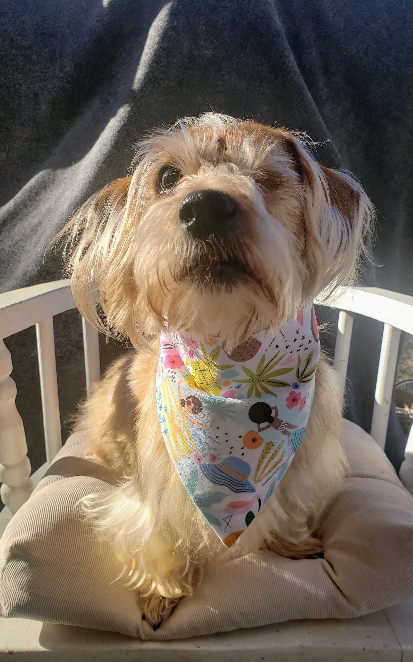 Clip on Dog Bandana With Buckle Pet Cat Bandanna Tropical Beach Girls Ocean Handmade to Order