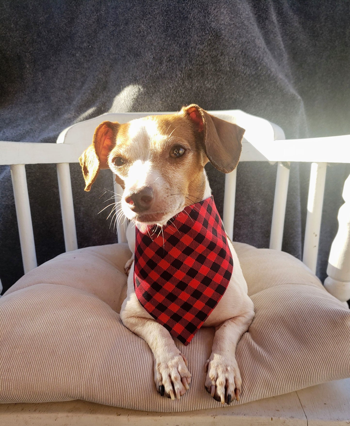 Clip on Dog Bandana With Buckle Pet Cat Bandanna Red Black Mini Buffalo Plaid Check Gingham Handmade to Order