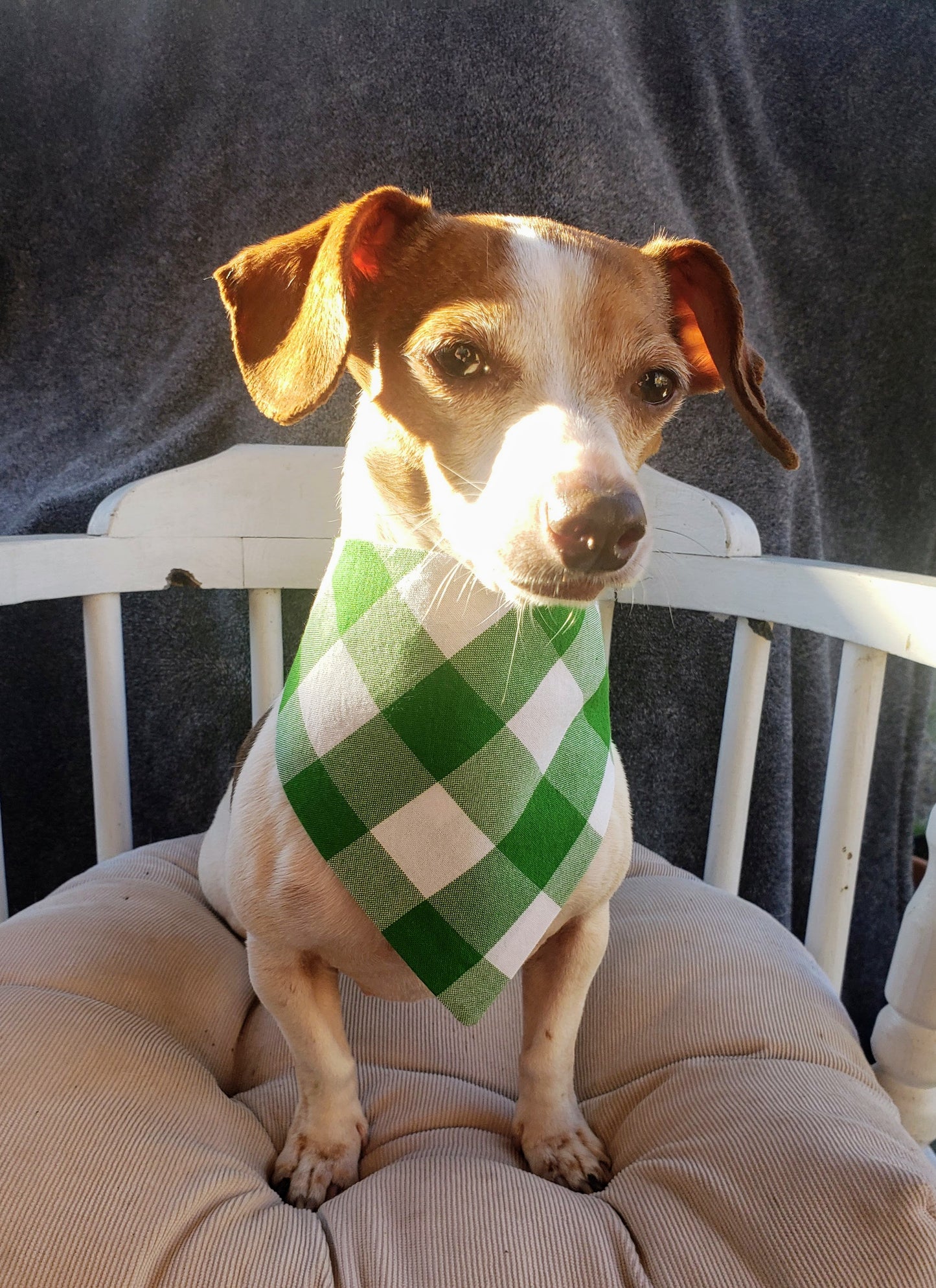 Clip on Dog Bandana With Buckle Pet Cat Bandanna Large Green Buffalo Plaid Check Handmade to Order