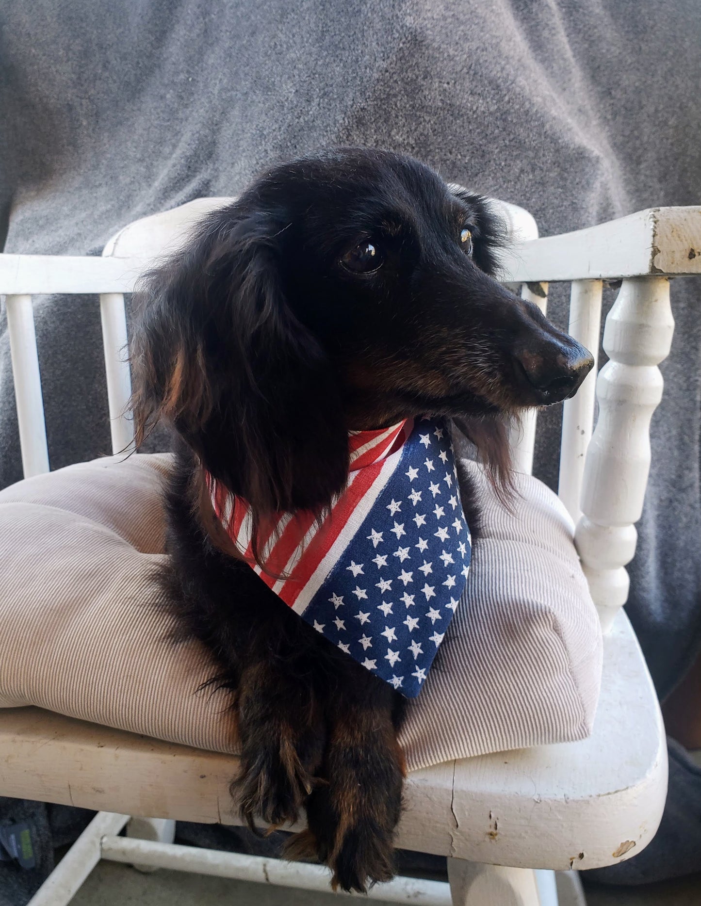 Stars & Stripes American Red White Blue Flag Patriotic USA Americana Clip on Dog Bandana With Buckle Pet Cat Bandanna Handmade to Order