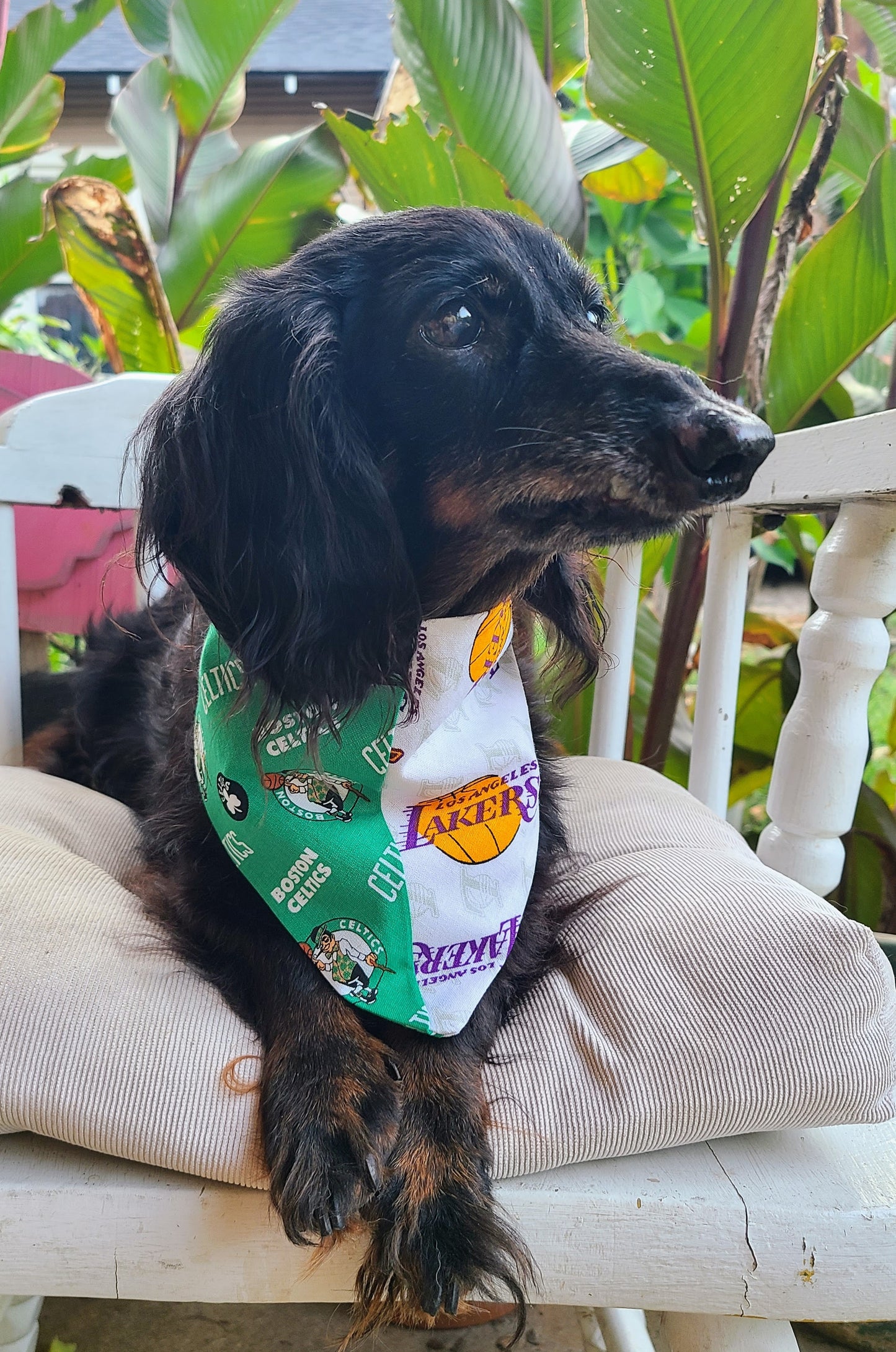 HOUSE DIVIDED Basketball Choose TWO Teams nba Clip on Dog Bandana With Buckle Pet Cat Bandanna Scarf Handmade to Order
