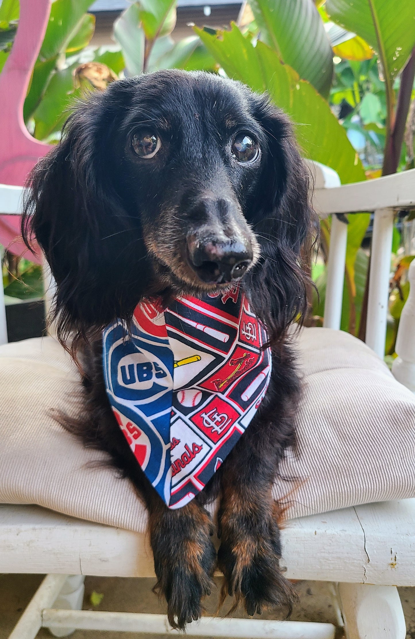HOUSE DIVIDED Baseball Choose TWO Teams nhl Clip on Dog Bandana With Buckle Pet Cat Bandanna Scarf Handmade to Order