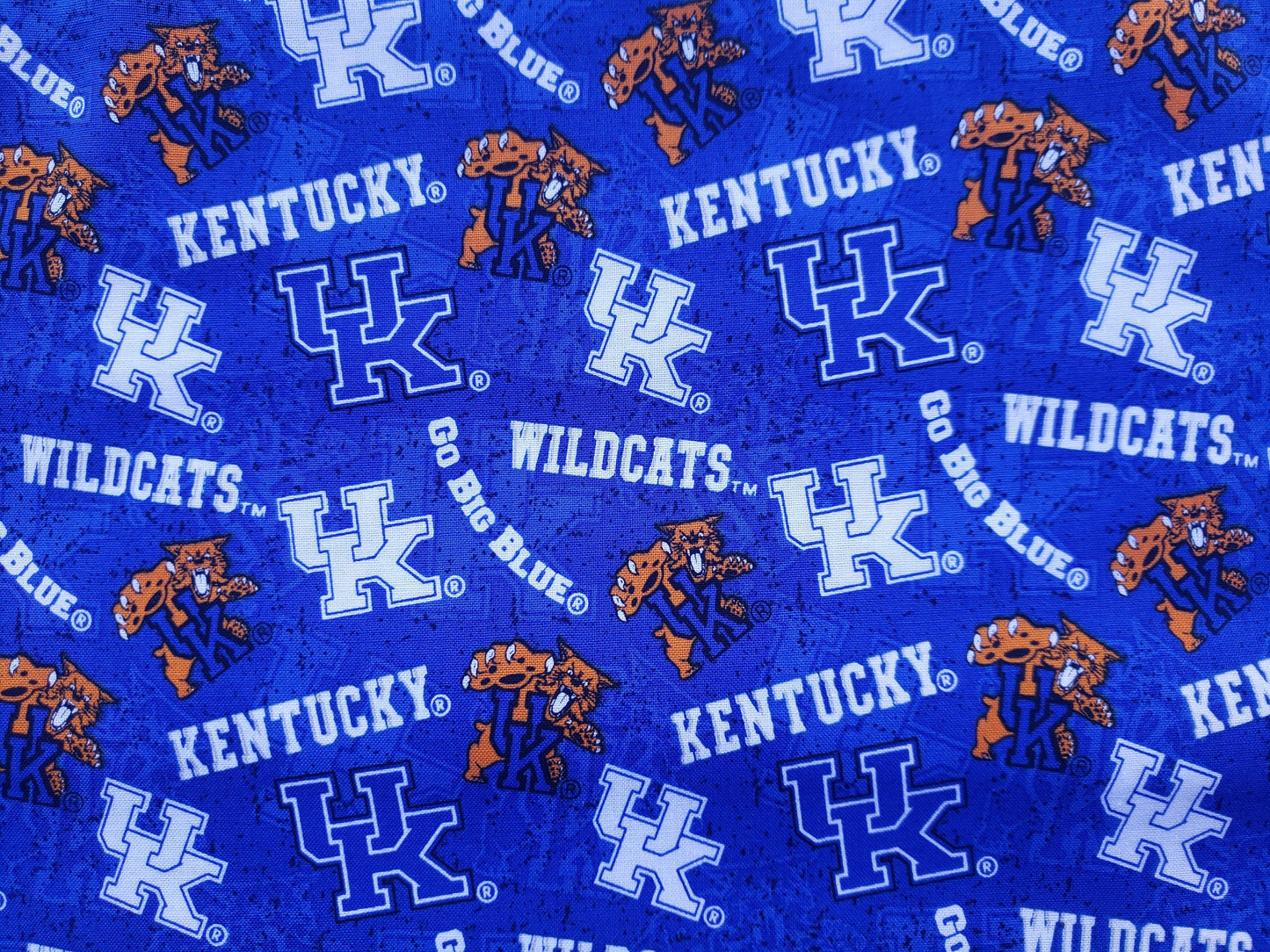 Clip on Dog Bandana With Buckle Pet Cat Bandanna Scarf University of KENTUCKY WILDCATS ncaa uk Handmade to Order