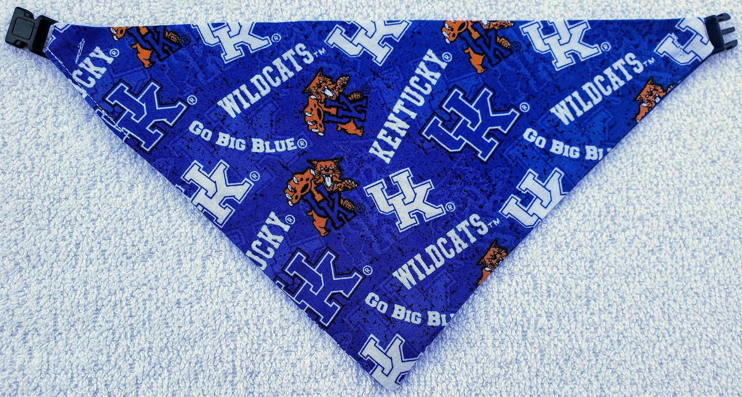 Clip on Dog Bandana With Buckle Pet Cat Bandanna Scarf University of KENTUCKY WILDCATS ncaa uk Handmade to Order