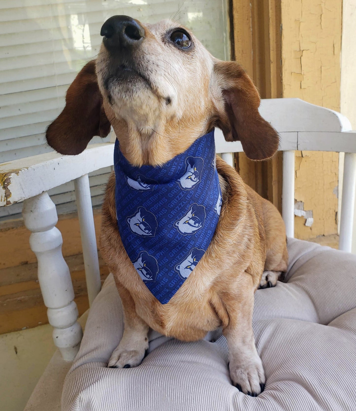 Clip on Dog Bandana With Buckle Pet Cat Bandanna Scarf Basketball nba MEMPHIS GRIZZLIES Basketball nba Handmade to Order